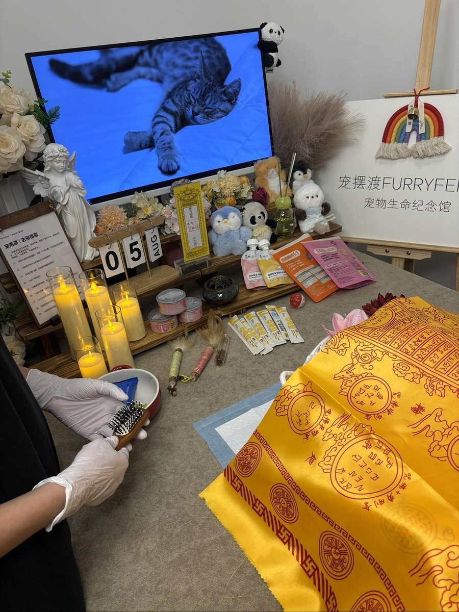 嘉兴宠物单独火化