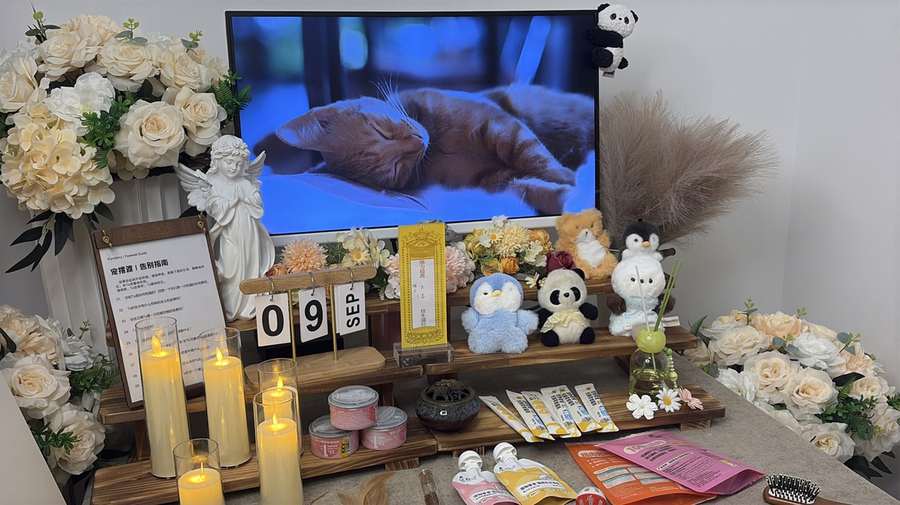 宠物告别仪式
